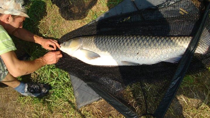 tancabesti - 2485501928450140966415889046n.jpg